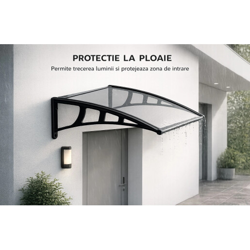 Copertina usa intrare Lilly 700x1200 mm, policarbonat transparent